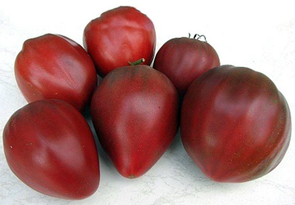 Odrůda rajčat Black Bovine Heart
