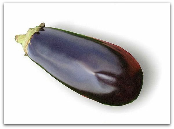 Eggplant varieties for greenhouses