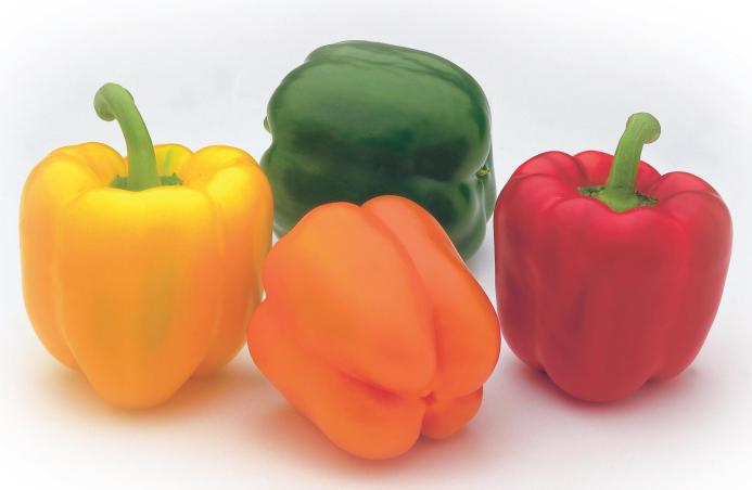 Odrůdy papriky