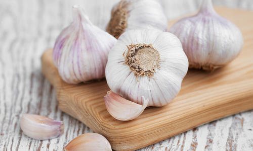 Garlic varieties. Reproduction, planting garlic care, harvesting