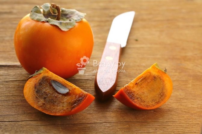 Persimmon varieties that do not knit your mouth: Shokoladnitsa