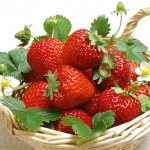 Сортове ягоди за отглеждане през цялата година у дома