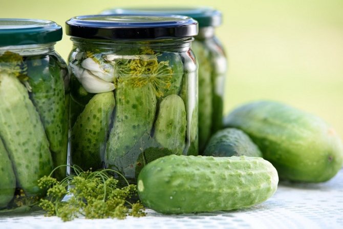 Pickled cucumber varieties
