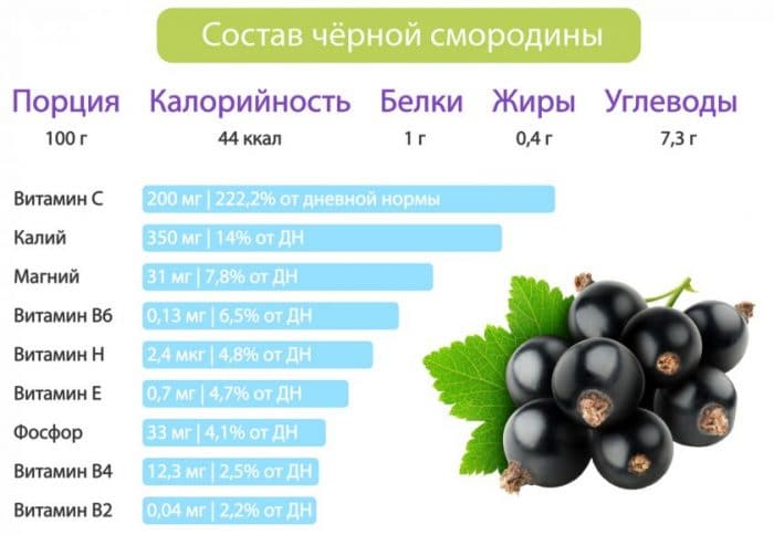 composition of black currant