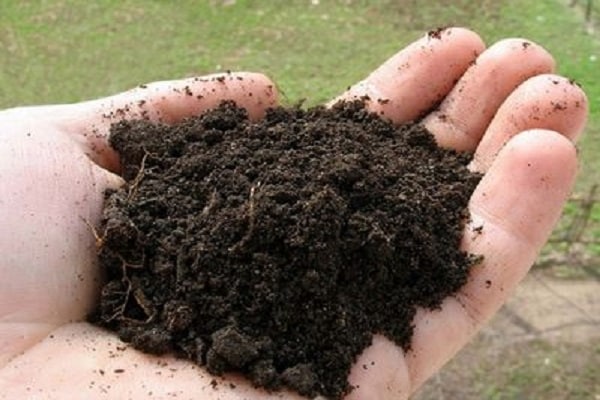 състав на почвата