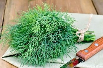 The composition and useful properties of dill greens - highlights