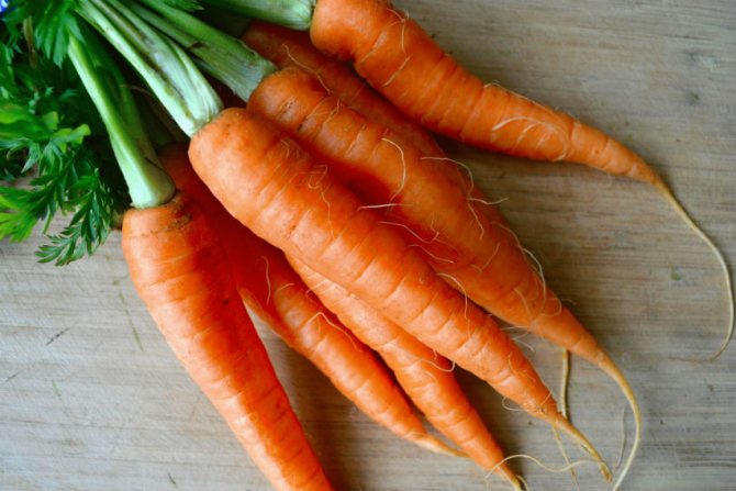 Compoziția morcovilor