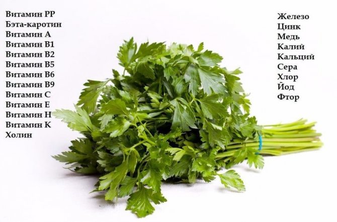 Parsley composition