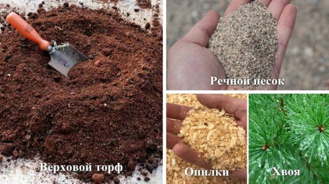 The composition of the soil mixture for the holes