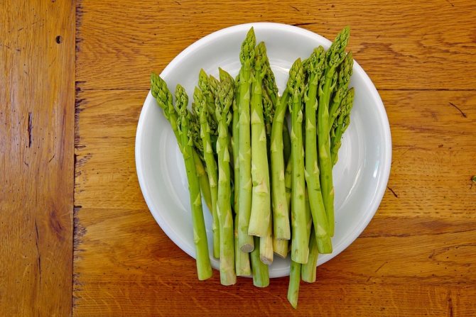 Asparagus: what is this vegetable, how to cook