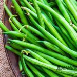 Ripe green beans