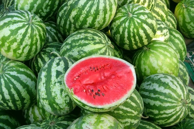 mogna vattenmeloner