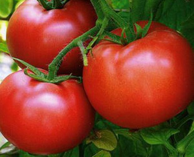 зрели домати