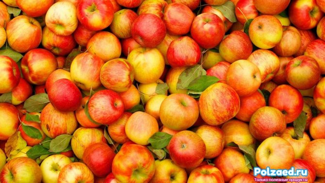 Mogna äpplen