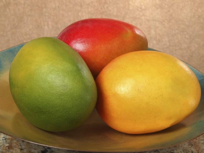 Fruct coapte de mango