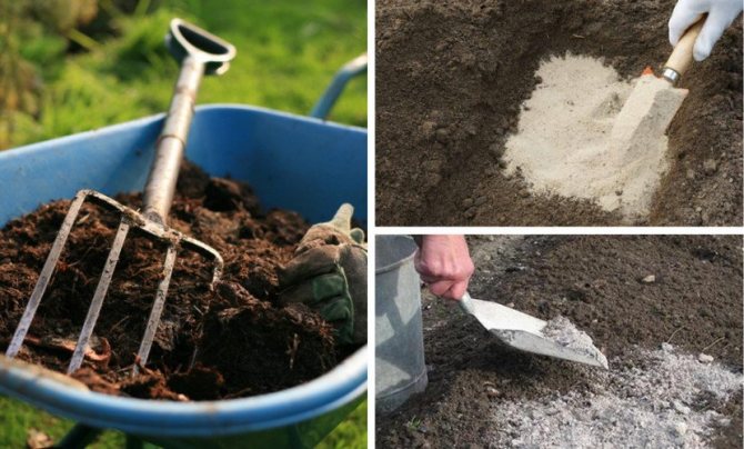 Methods for adjusting the soil on the site