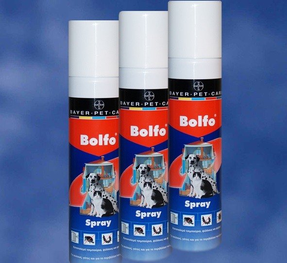 Spray Bolfo pour chiens