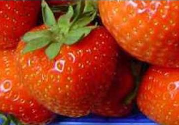 Katamtamang strawberry