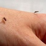 репелент против комари за бебета