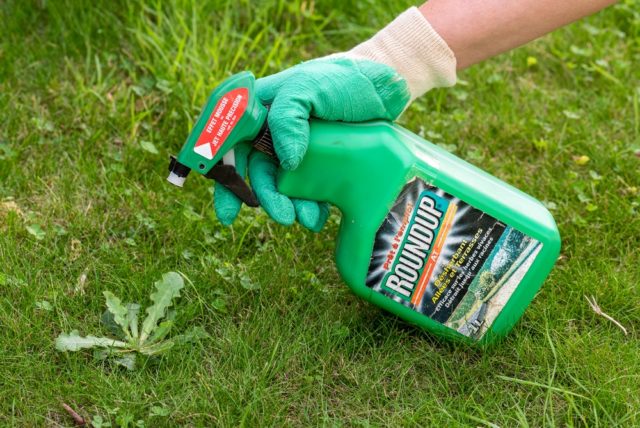 Roundup Controlul buruienilor - Curățător eficient pentru grădini