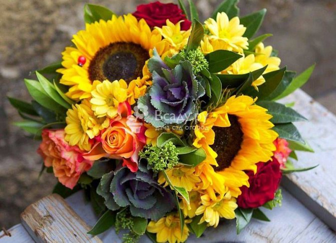 Stylish autumn bouquet with sunflower