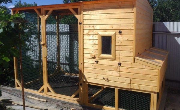 The construction of housing for birds begins with calculations of the size of the chicken coop