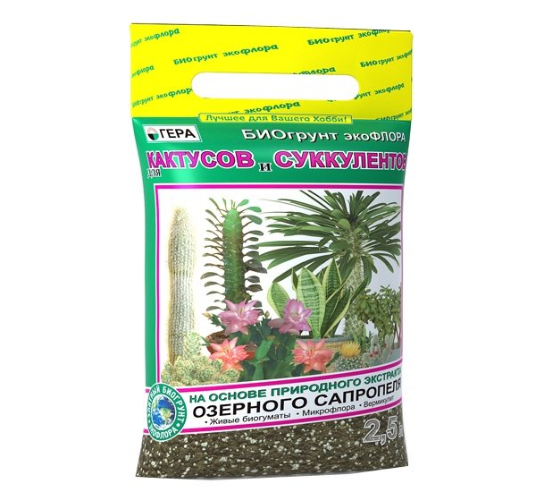 Underlag för kaktusar och suckulenter