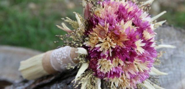 الزهور المجففة: صور وأسماء أفضل الأنواع ، مناسبة للحديقة ولإنشاء باقات