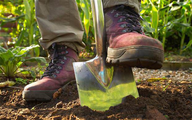 There are at least 5 reasons why you shouldn't dig a vegetable garden.