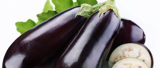 Torkad aubergine är en utmärkt förberedelse för vintern