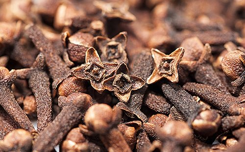Dried buds look like stars