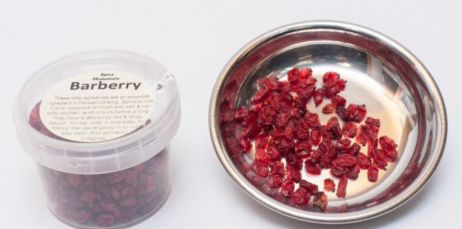 dried barberry in a plate and a jar