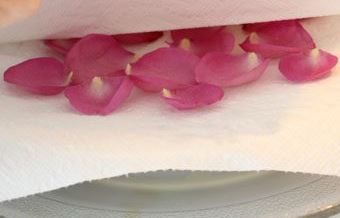 Sušení okvětních lístků růží v mikrovlnné troubě
