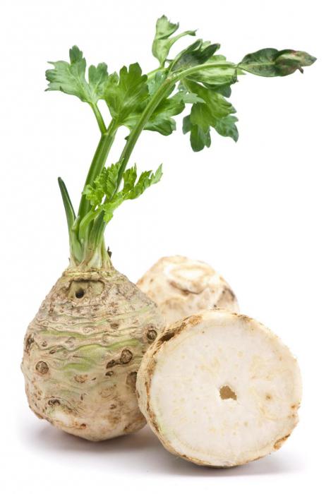 properties of celery root