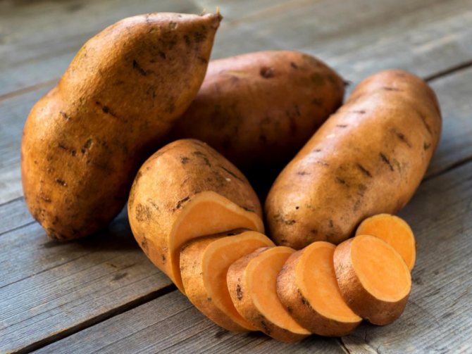 raw vegetable sweet potato