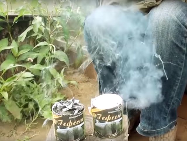 Tobacco (smoke) bombs for a greenhouse made of polycarbonate: how and when to use for processing