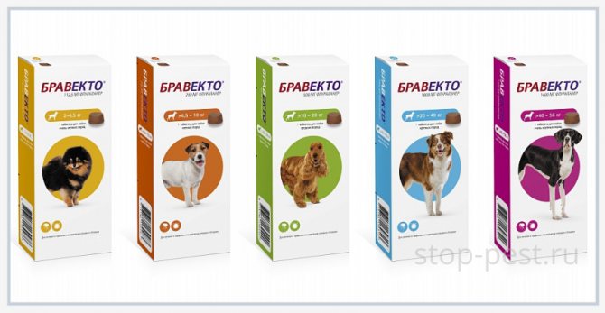 Таблетки за кърлежи за кучета "Bravecto" / "Bravecto"