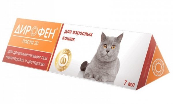 Tablets, suspension, drops on the withers from worms for cats: which anthelmintic drug to choose for adult animals and kittens, instructions