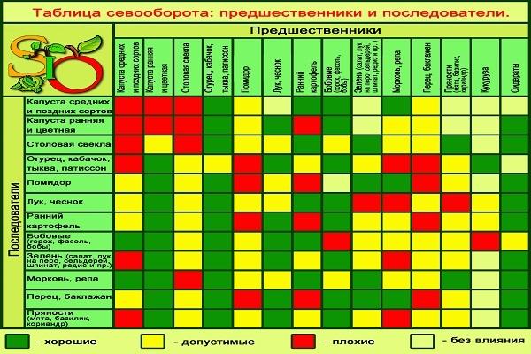 crop rotation table