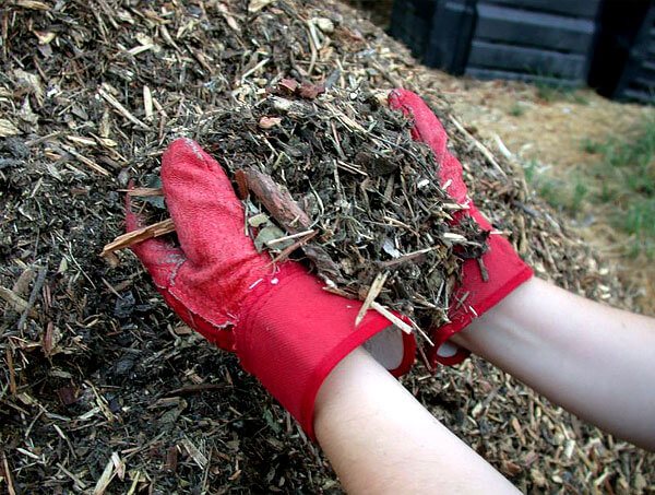 This mulch is also useful as a light fertilizer, as it contains a large amount of organic matter.