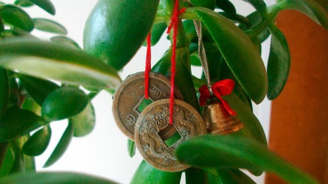 Talismans for attracting wealth, which are often used to decorate the money tree.