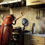 الصراصير في المطبخ