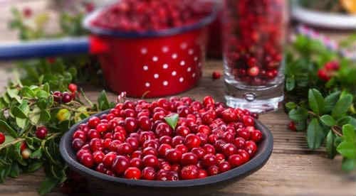 A plate of lingonberries