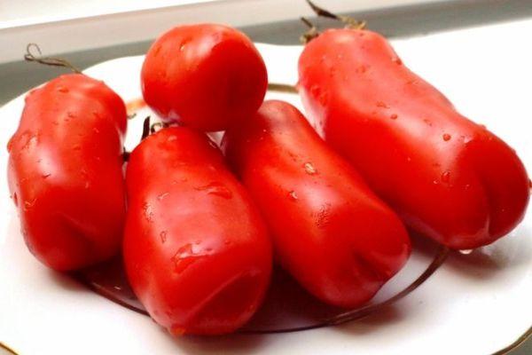 Tallrik med tomater