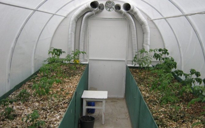 Mga maiinit na kama sa greenhouse