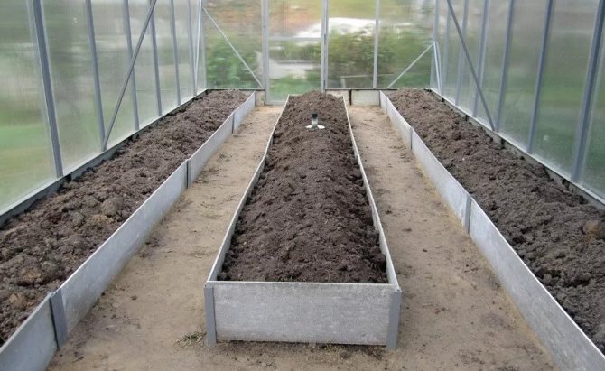 Warm beds in the greenhouse