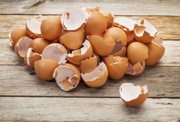 Crushed eggshell