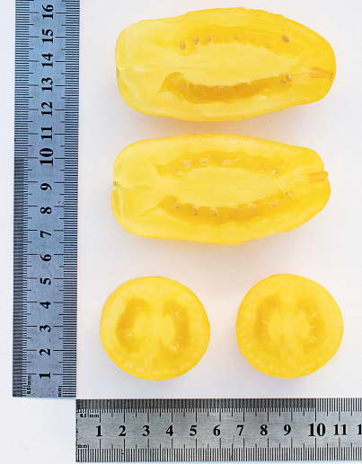 Caracteristici ale picioarelor de banane de roșii și descrierea fructului