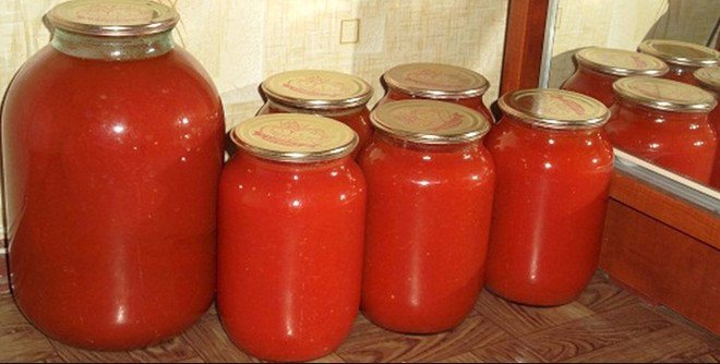 الطماطم "الرداء الأحمر": وصف وخصائص متنوعة ، زراعة التكنولوجيا الزراعية