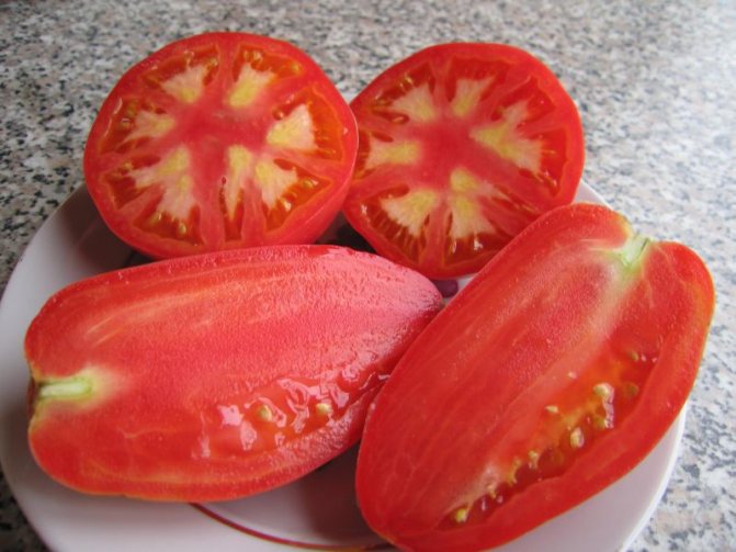 Tomat persilja trädgårdsmästare egenskaper och beskrivning av sorten plantering odling och vård